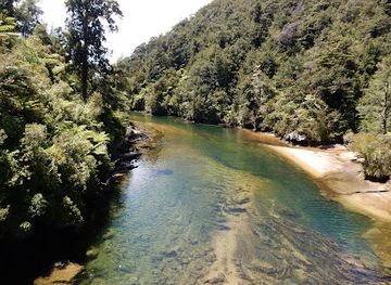 new-zealand/tasman/landmark/falls-river-swing-bridge