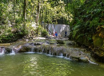 trinidad-and-tobago/mayaro-rio-claro/landmark/cumaca-falls-turure-watersteps