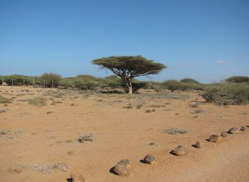 djibouti/petit-bara-desert/landmark/decan-refuge