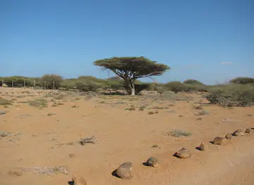 DECAN Refuge