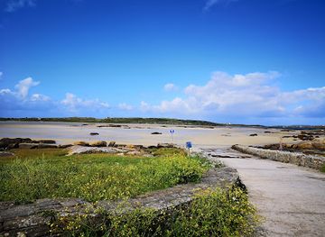 ireland/connemara-national-park/landmark/wild-atlantic-way-discovery-point-omey-strand