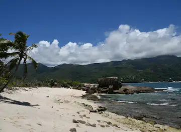Snorkeling in Therese