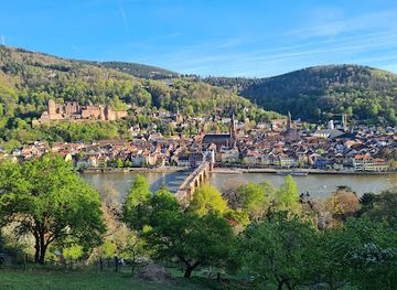 germany/heidelberg/neuenheim/landmark/schlangenweg