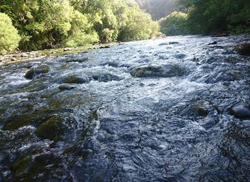chile/araucania-region/landmark/malleco-river