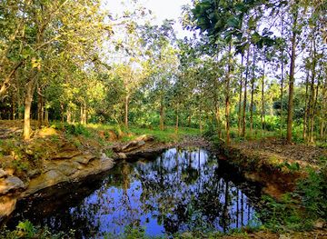 india/kerala-backwaters/landmark/chulanur-peafowl-sanctuary