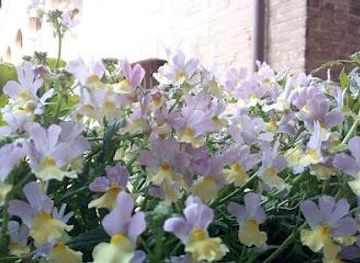 italy/san-gimignano/landmark/santuario-casa-di-santa-caterina