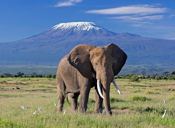 tanzania/mount-kilimanjaro/landmark/mount-kilimanjaro-national-park