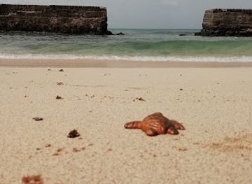 cabo-verde/espargos/landmark/zugadventures