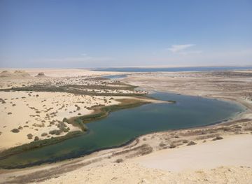 egypt/wadi-el-rayan-national-park/landmark/tanzeem-rahlat-al-fayyum-bahira-qarun-wadi-al-riyan-wadi-al-haytan