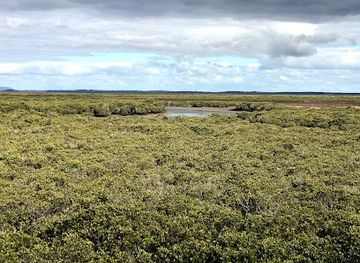australia/gippsland/landmark/port-franklin-viewing-platform