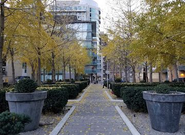 canada/toronto/yorkville/landmark/town-hall-square