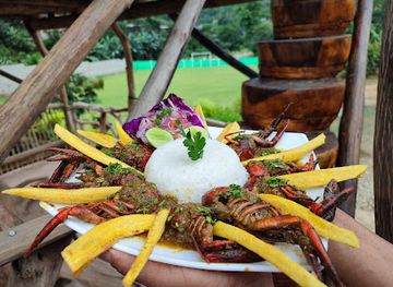 ecuador/el-oro-region/landmark/oro-selva