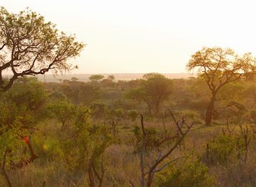 south-africa/lowveld/landmark/kruger-national-park