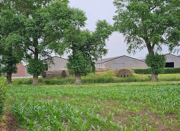 belgium/ypres/landmark/britse-bunkers-rijselseweg-ww1
