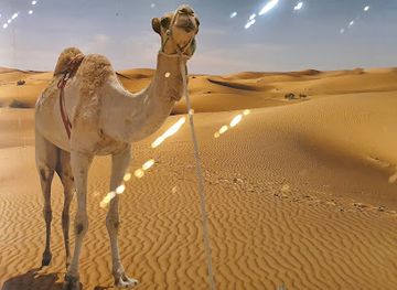 united-arab-emirates/dubai-desert-conservation-reserve/landmark/sharjah-desert-park