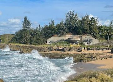 puerto-rico/caguas/landmark/fuerte-amezquita