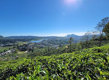 sri-lanka/horton-plains-national-park/landmark/single-tree-hill