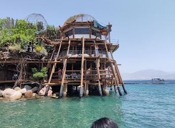 israel/eilat/dolphin-reef/landmark/dolphin-reef-beach