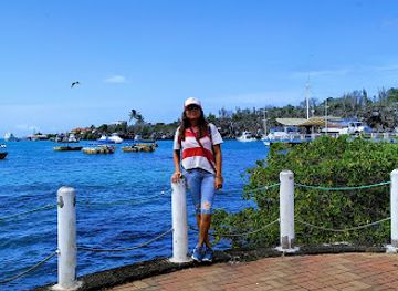 ecuador/puerto-ayora/landmark/restaurante-el-descanso-del-guia-muelle