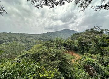 sierra-leone/western-area-urban-district/landmark/tacugama-chimpanzee-sanctuary