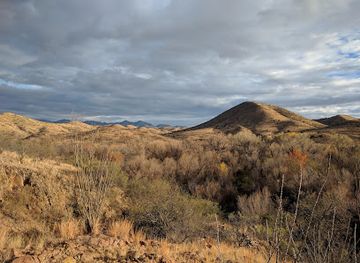 arizona/san-rafael-valley/landmark/patagonia-lake-state-park
