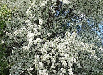 maldives/dhaalu-atoll/landmark/beach