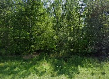 wisconsin/great-river-road/landmark/wisconsin-state-historical-marker-606-thomaston-fishing-settlement