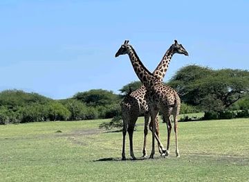 tanzania/central-zone/landmark/ol-doinyo-lengai-local-guide