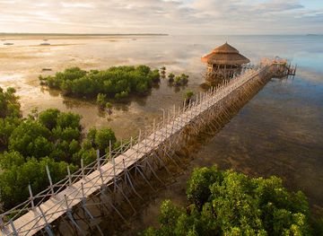 philippines/panglao-island/landmark/north-zen-villas