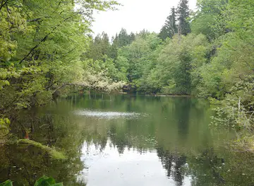 Ryugakubo water spring