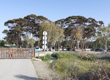 cyprus/nicosia-district/landmark/eucalyptus-grove