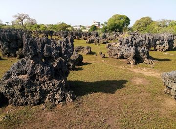 kenya/amboseli-national-park/landmark/kisite-mpunguti-marine-national-park