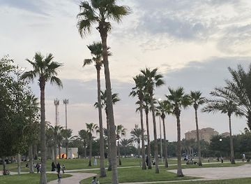 saudi-arabia/al-jubail/landmark/shaTii-dariin