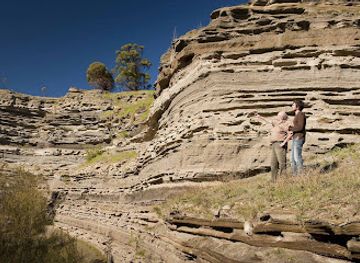 australia/western-victoria/landmark/tower-hill-wildlife-reserve