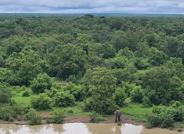 ghana/wli-nature-reserve/landmark/mole-national-park
