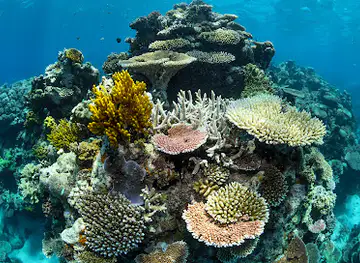 Great Barrier Reef Marine Park