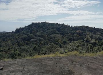 sierra-leone/kenema/landmark/gola-rainforest-national-park