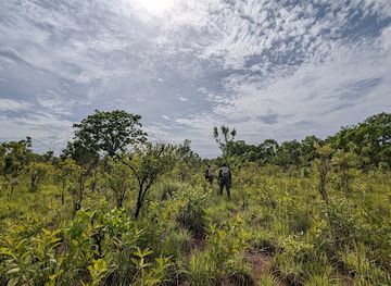 ghana/kakum-national-park/landmark/digya-national-park