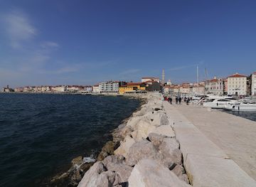 slovenia/piran/landmark/mediadom-pyrhani
