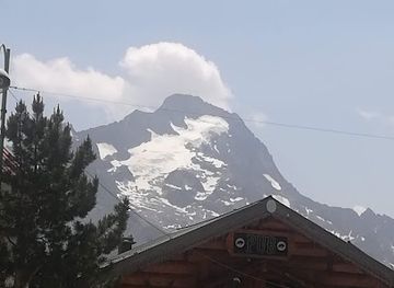 france/les-deux-alpes/landmark/le-raisin-d-ours