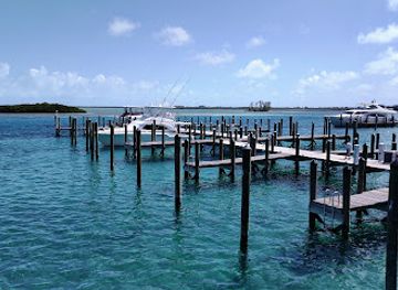 the-bahamas/bimini/landmark/neal-watson-s-bimini-scuba-center