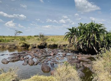 tanzania/moshi/landmark/african-traces-ltd