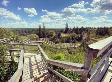 canada/western-manitoba/landmark/spruce-woods-provincial-park