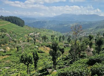 sri-lanka/dry-zone/landmark/nuwara-eliya-sri-lanka