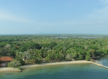 colombia/sucre-department/landmark/sanguare-nature-reserve