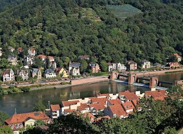 germany/heidelberg/landmark/heidelberger-villa