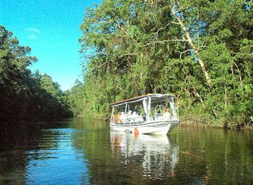 australia/cape-tribulation/landmark/solar-whisper-wildlife-and-crocodile-cruises-on-the-daintree-river