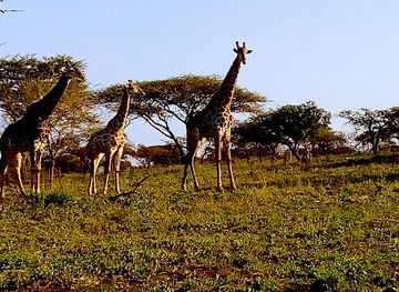 south-africa/hluhluwe-imfolozi-park/landmark/zululand-ubizane-wildlife-reserve