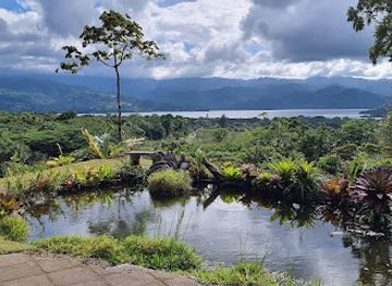 costa-rica/arenal-volcano-area/landmark/sloth-watching-trail-la-fortuna-arenal-volcano-private-trail