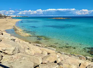 Fig Tree Bay